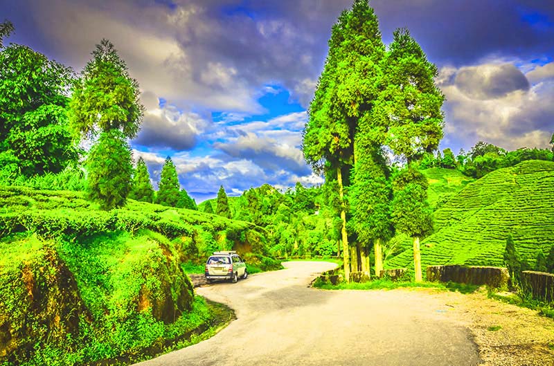img/Darjeeling-tour.jpg