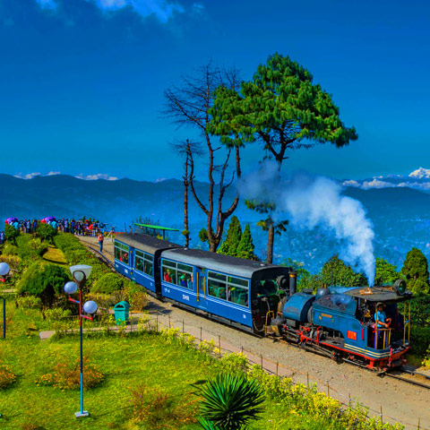 img/Darjeeling.jpg