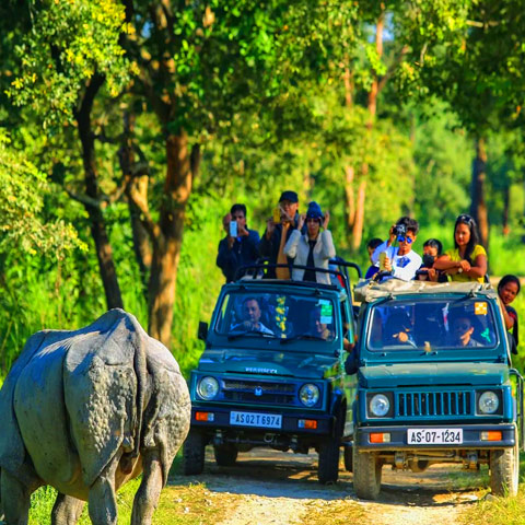 img/Kaziranga.jpg