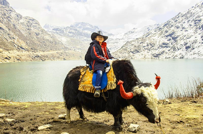 img/gangtok-tour.jpg